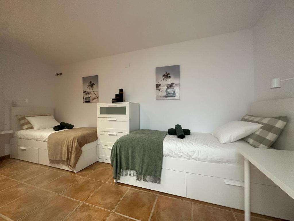 Casa Cullerer Διαμέρισμα Amposta Εξωτερικό φωτογραφία
